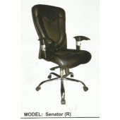 Senator Chair (R)